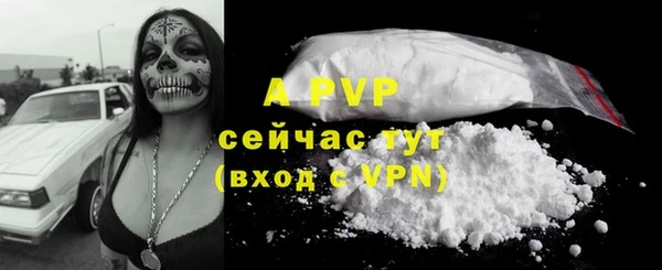 Альфа ПВП Аркадак