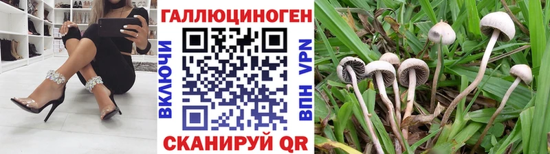 купить   Цивильск  Псилоцибиновые грибы MAGIC MUSHROOMS 